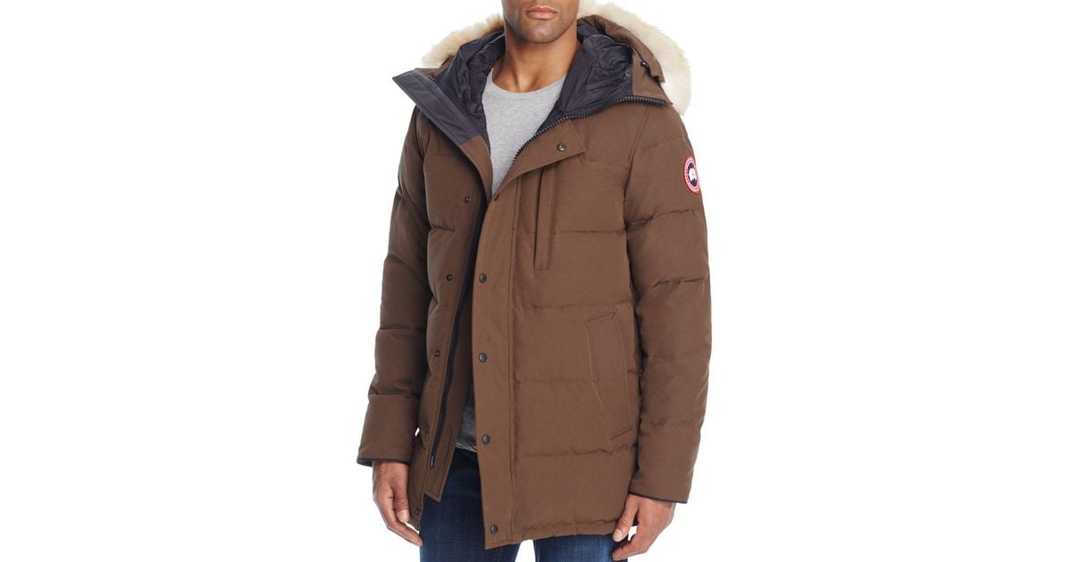 canada goose expedition parka brown canada goose expedition parka brown